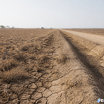 El Niño and the war in Iran are squeezing Asia's food supply, raising unrest risks