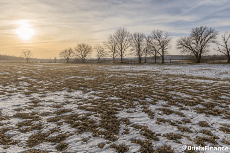 Weather traders pile in as a strong El Niño points to a softer Northern winter